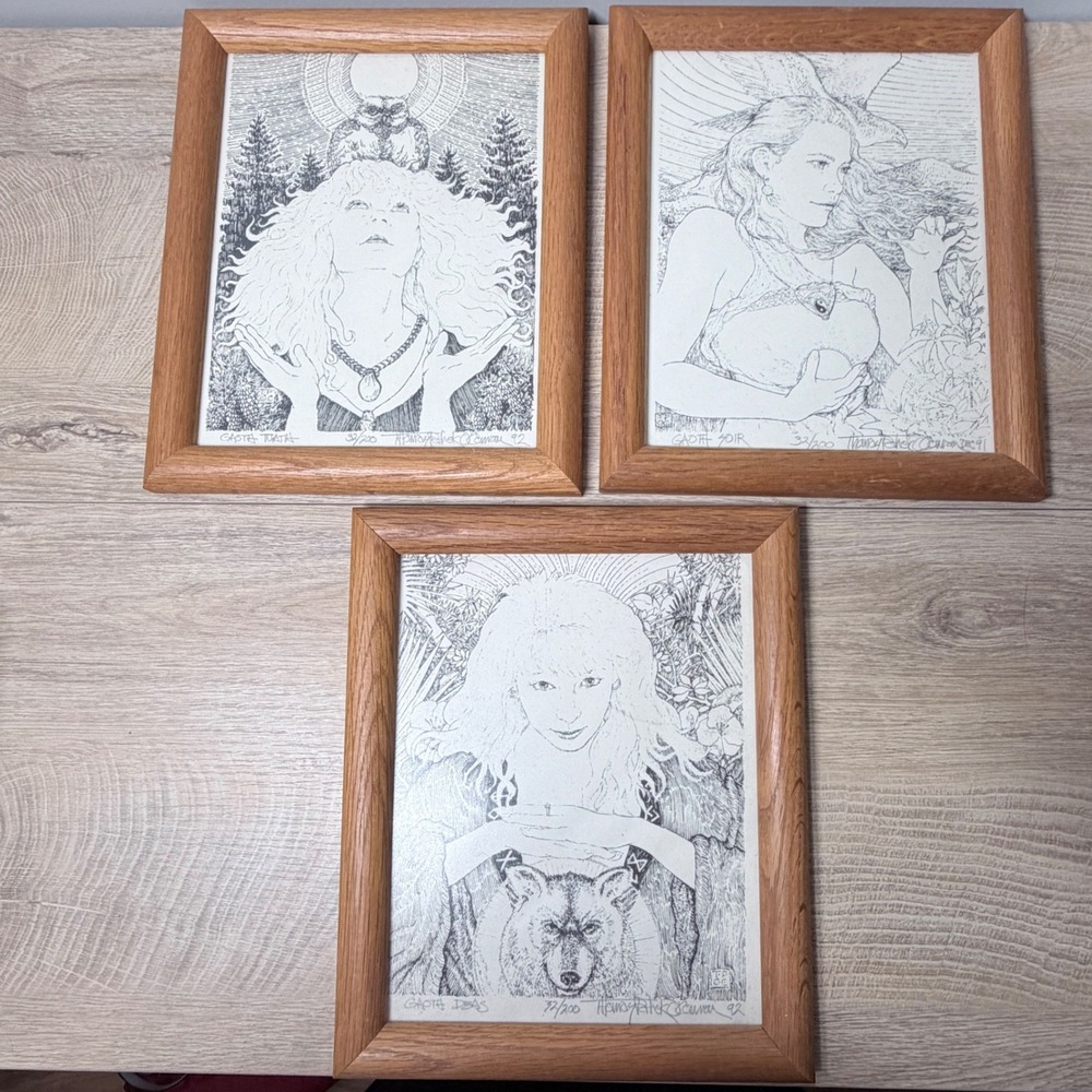Framed Gothic Fantasy Art Print Set Pagan Witch Goddess Wolf‎ Signed Numbered